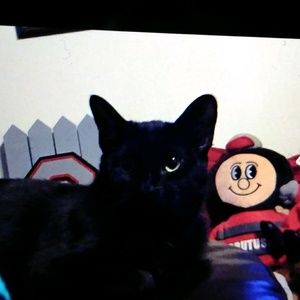 Meet your Posher, Emma